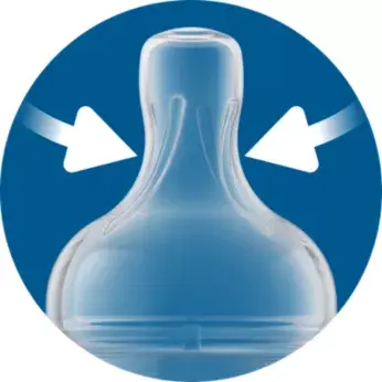 Textura striată previne aplatizarea pentru a asigura hrănire neîntreruptă