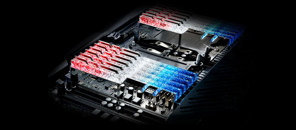 02-tzroyal-intro.jpg (1600×706)