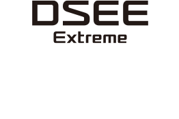 Sigla pentru DSEE Extreme